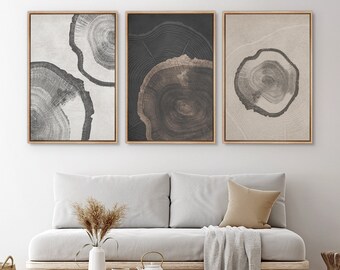 Framed Canvas Wall Art Set of 3 Wood Tree Rings Abstract Illustrations Prints Minimalist Modern Wall Art Neutral Boho Decor