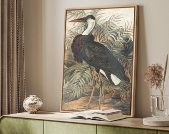 Framed Canvas Wall Art Heron Bird Animal Print Minimalist Vintage Art Modern Farmhouse Wall Decor