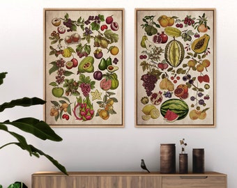 Framed Canvas Wall Art Set of 2 Fruit Market Botanical Prints Vintage Art Modern Farmhouse Kitchen Wall Decor