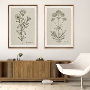 Framed Canvas Wall Art Set of 2 Vintage Wildflower Floral Botanical Illustrations Minimalist Modern Neutral Wall Art Living Room Decor