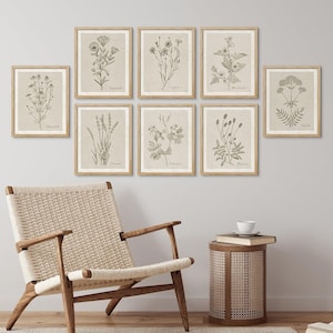 Juego de 8 impresiones enmarcadas de arte de pared con flores silvestres, arte botánico floral abstracto, póster vintage, decoración artística minimalista