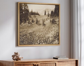 May include: A framed sepia-toned photograph of a forest scene with tall trees and a mountain in the distance. The photograph is in a gold frame and is hanging on a light gray wall.