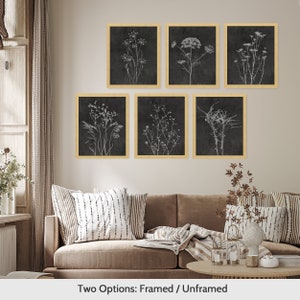 Framed Prints Wall Art Set of 6 Wildflower Floral Botanical Prints Minimalist Wall Art Modern Farmhouse Wall Decor