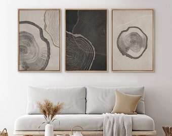 Framed Canvas Wall Art Set Wood Tree Rings Abstract Illustrations Prints Modern Art Minimalist Neutral Boho Decor