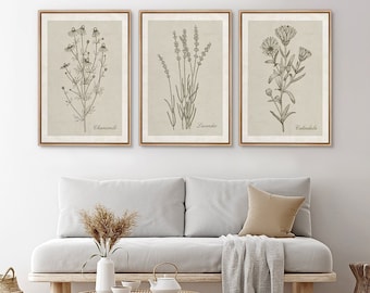 Framed Vintage Wildflower Wall Art Set of 3, Scandinavian Neutral Herb Canvas Prints, Japandi Minimalist Nature Decor for kitchen