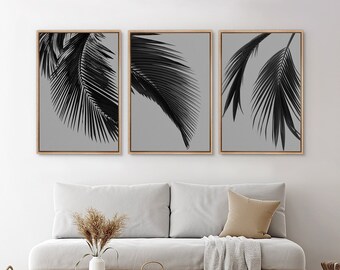 May include: Three framed black and white prints of palm leaves against a light gray background.