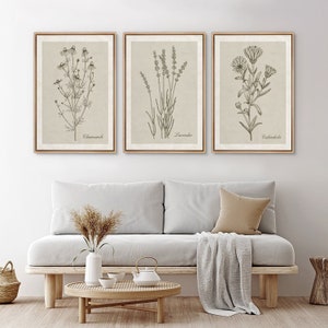 Framed Canvas Wall Art Set Wildflower Floral Botanical Prints Minimalist Art Modern Farmhouse Wall Decor