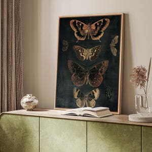 May include: A framed print of five butterflies on a dark background. The butterflies are in various shades of brown, orange, and yellow. The print is framed in a simple wooden frame.