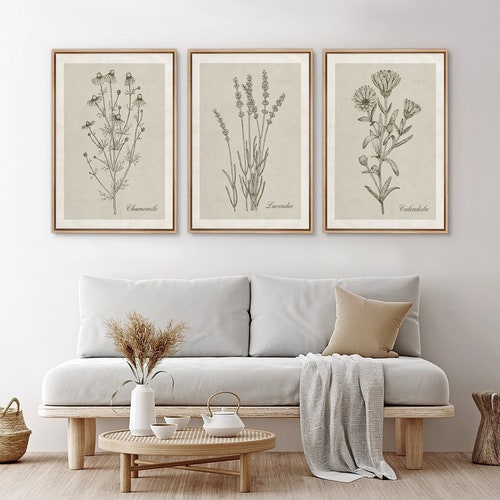 Framed Vintage Wildflower Wall Art Set of 3, Scandinavian Neutral