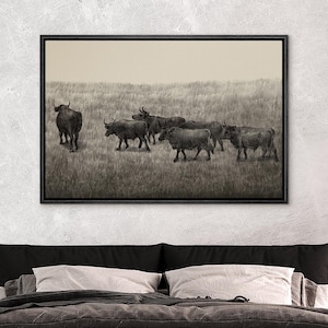 Framed Canvas Wall Art Prints Buffalo Herd in Grassland  Highland Cow Rustic Wildlife Wall Art Black & white tone Farmhouse or Office Decor