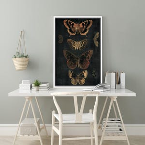 May include: A black and white print of five butterflies with brown, orange, and yellow accents. The butterflies are arranged vertically on a dark background.