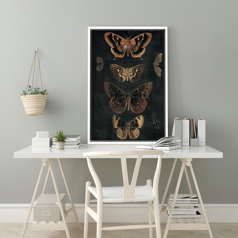 May include: A black and white print of five butterflies with brown, orange, and yellow accents. The butterflies are arranged vertically on a dark background.