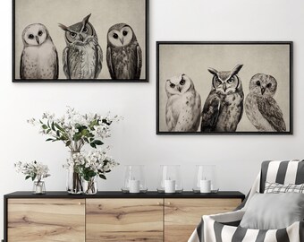 Framed Canvas Wall Art Set of 2 Owls Animal Prints