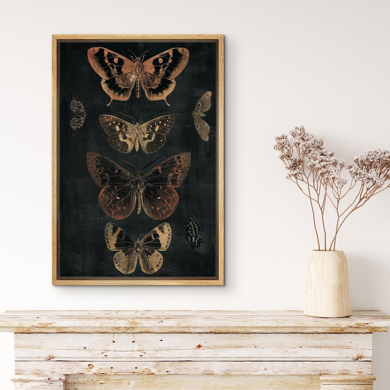 May include: A framed print of five butterflies with intricate patterns and colors on a dark background. The butterflies are arranged vertically, with the largest butterfly at the bottom and the smallest at the top.