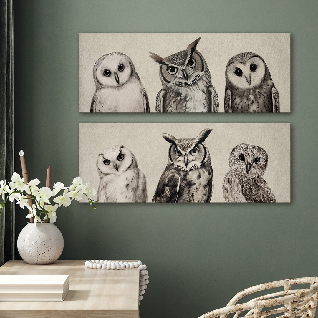Framed Canvas Wall Art Set of 2 Owls Animal Prints Minimalist - Etsy