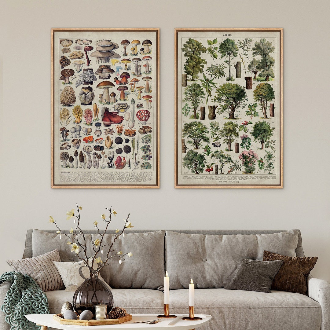 Framed Canvas Wall Art Print Set of 2 Botanical Mushroom Poster, by ...