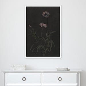 Puede incluir: Una impresi&oacute;n bot&aacute;nica enmarcada con un fondo oscuro, que presenta una ilustraci&oacute;n detallada de flores rosas y hojas verdes. La obra de arte se presenta en un marco blanco, realzando la elegancia del dise&ntilde;o floral.