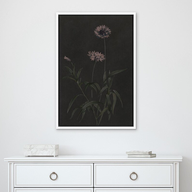 Puede incluir: Una impresi&oacute;n bot&aacute;nica enmarcada con un fondo oscuro, que presenta una ilustraci&oacute;n detallada de flores rosas y hojas verdes. La obra de arte se presenta en un marco blanco, realzando la elegancia del dise&ntilde;o floral.