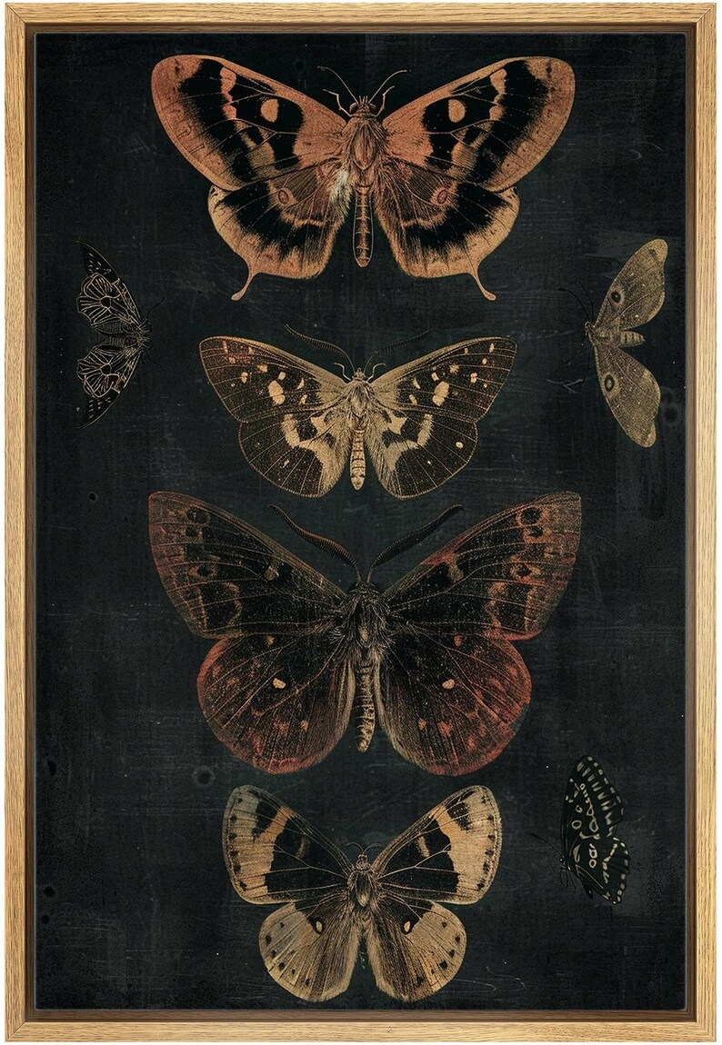 May include: Five gold and black butterflies on a dark background. The butterflies are arranged vertically, with the largest butterfly at the top and the smallest butterfly at the bottom.