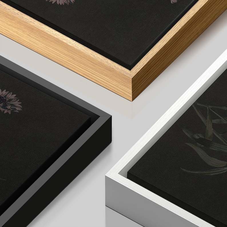 Puede incluir: Primer plano de tres obras de arte en lienzo enmarcadas. Cada lienzo presenta un fondo oscuro con un dise&ntilde;o floral o bot&aacute;nico. Los marcos son de madera natural, negro y blanco.