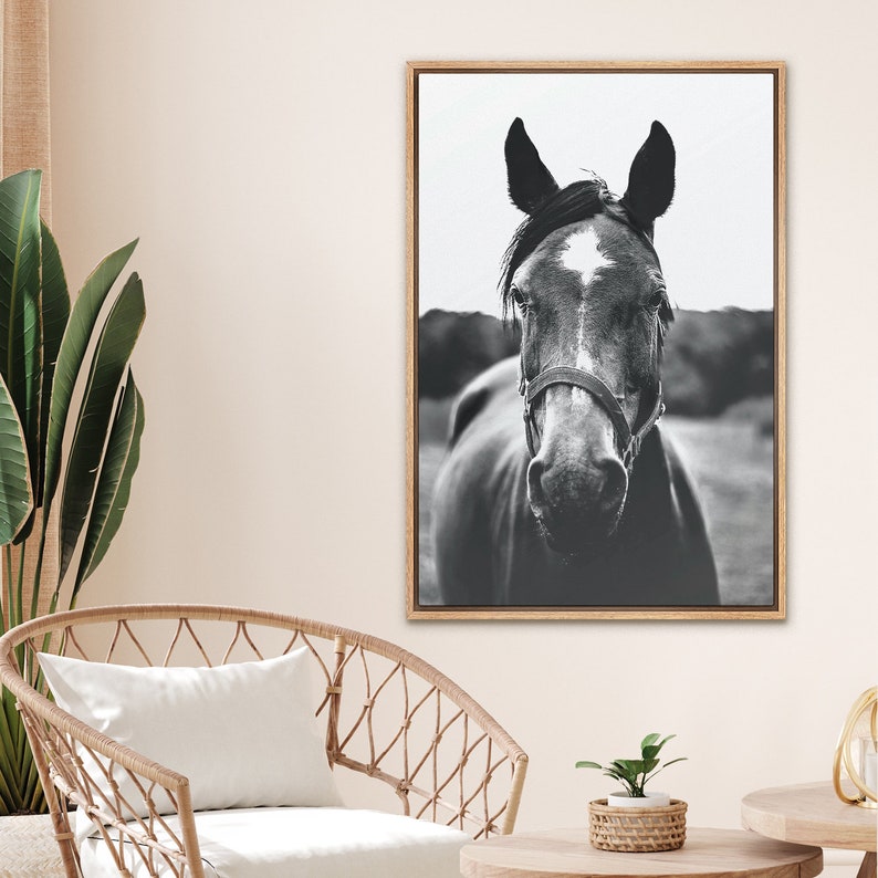 Framed Canvas Wall Art Black and White Horse Portrait Prints Animal ...