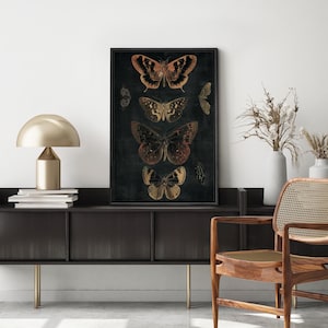 May include: A black and white framed print of five butterflies with gold and orange accents on a dark background.