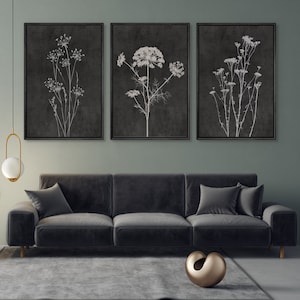 Minimalist Wildflower Framed Wall Art Set of 3, Vintage Floral ...