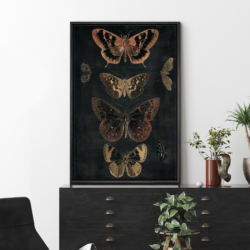 May include: A black and white framed print with a dark background featuring five different butterflies in shades of brown, orange, and gold. The butterflies are arranged vertically in a row.