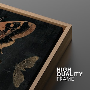 May include: A framed canvas print with a black background and gold and brown butterfly illustrations. The frame is a natural wood color.
