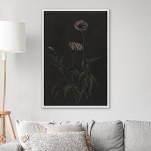 Puede incluir: Una impresi&oacute;n bot&aacute;nica enmarcada con un fondo oscuro, que presenta una ilustraci&oacute;n detallada de flores y follaje. Las flores son de un color rosa apagado, y las hojas son de color verde oscuro. La obra de arte est&aacute; en un marco blanco.