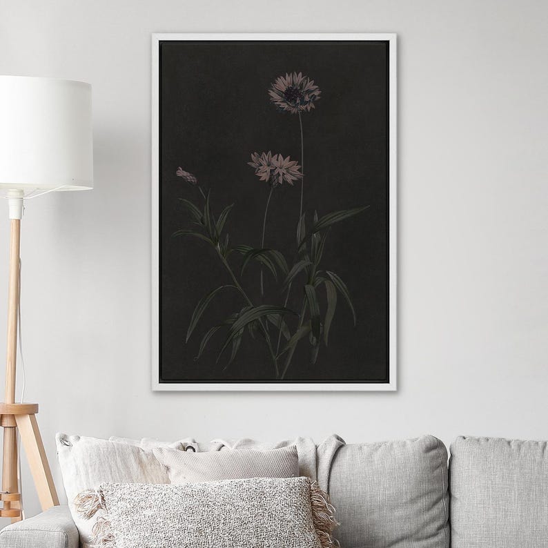 Puede incluir: Una impresi&oacute;n bot&aacute;nica enmarcada con un fondo oscuro, que presenta una ilustraci&oacute;n detallada de flores y follaje. Las flores son de un color rosa apagado, y las hojas son de color verde oscuro. La obra de arte est&aacute; en un marco blanco.