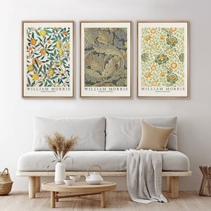 Framed Canvas Wall Art Set Wildflower Floral Botanical by William Morris Prints Minimalist Vintage Art Modern Farmhouse Wall Decor