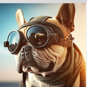 Small dog as pilot (3 pictures) - Digital Download