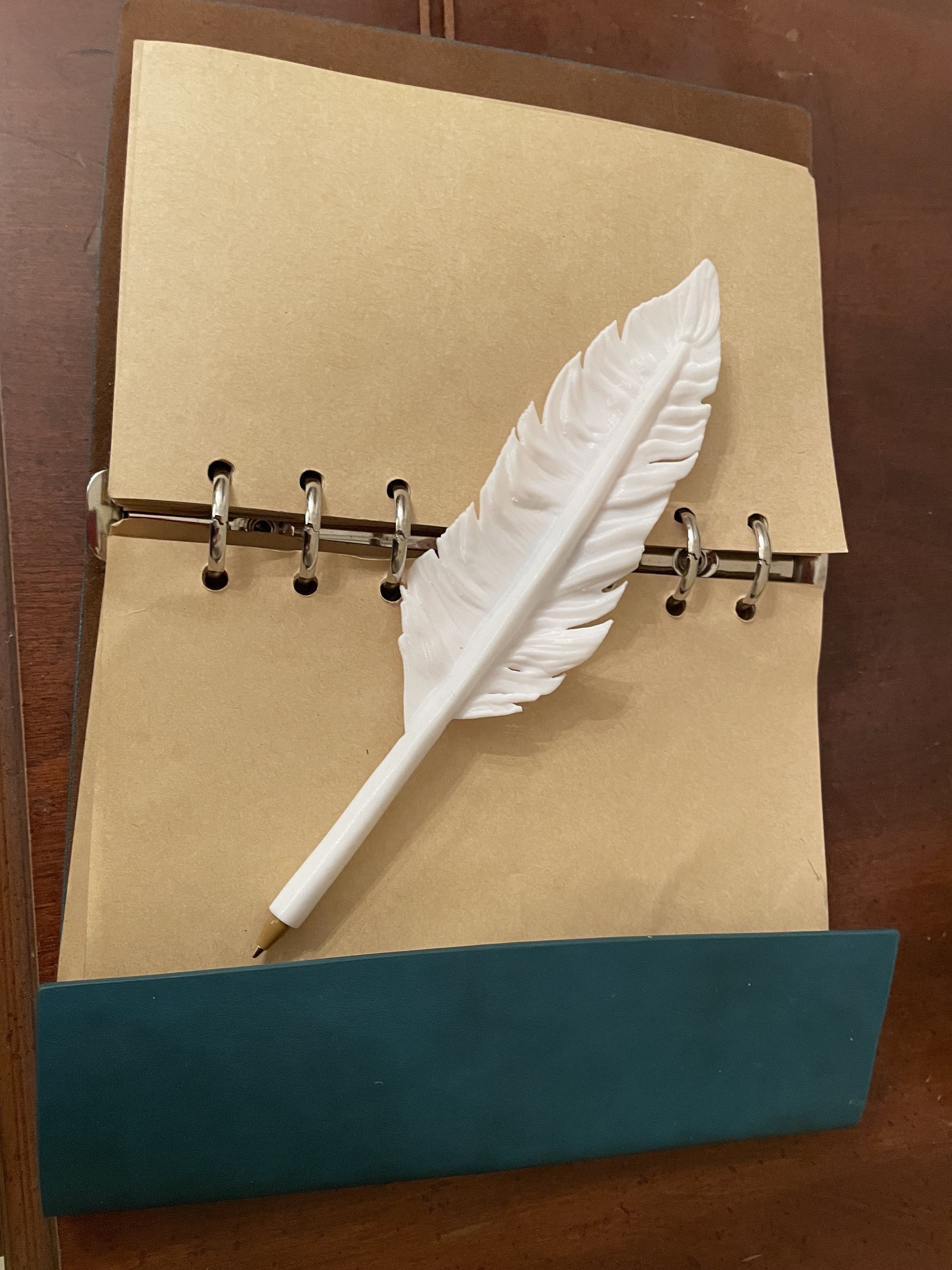 Feather Pen Set with 5 Nibs – Spiritual Landing