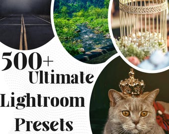 Paquete de más de 500 ajustes preestablecidos de Lightroom: para dispositivos móviles y de escritorio (XMP, DNG) (Guía en PDF)