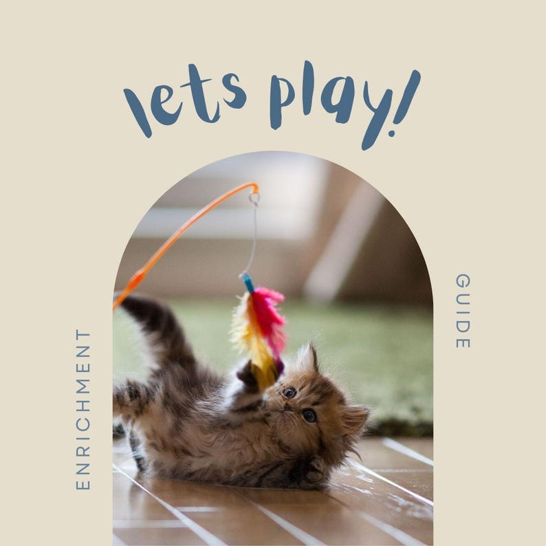 Cat Enrichment Guide PDF | Indoor Cat Activities | Mental Stimulation ...