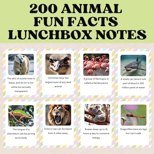 Faits amusants sur les animaux Notes de boîte à lunch pour les enfants | Un cadeau éducatif fascinant | Cartes imprimables de boîte à lunch pour la rentrée scolaire | Téléchargez le PDF et imprimez