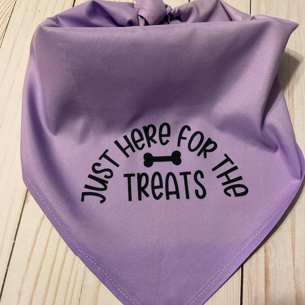 Funny Dog Purple Bandana ,Just Here For Treats Medium - Large Tie On Adjustable, Washable Pet Accessory Scarf 32" x 22" Dog Lover Gift