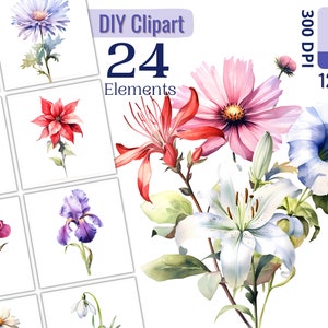 Imágenes prediseñadas de flores del mes de nacimiento para proyectos creativos, fondo transparente, diseño de acuarela, regalos, creación de tarjetas, scrapbooking, sublimación