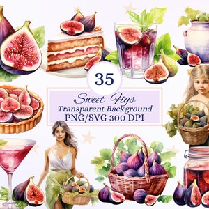 May include: A set of 35 watercolor illustrations of figs, featuring a variety of arrangements, including a fig tart, a glass of fig juice, a jar of fig jam, and a basket of figs. The illustrations are on a transparent background and are 300 DPI.