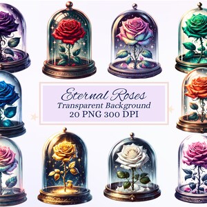 Conjunto de imágenes prediseñadas de rosas eternas para proyectos creativos, gráficos de San Valentín, flores de fantasía, creación de tarjetas, scrapbooking, sublimación, efímeras, PNG