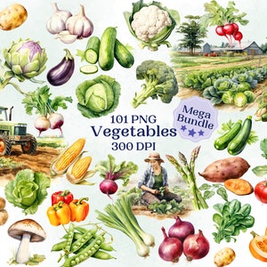 Set di clipart di verdure fresche di fattoria per progetti creativi, sfondo trasparente, immagini effimere, collage, creazione di biglietti, scrapbooking, sublimazione