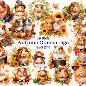 Peut inclure: 39 illustrations numériques de cochons d'Inde dans des décors d'automne. Les cochons d'Inde sont représentés dans diverses poses et portant des chapeaux, avec des citrouilles, des tournesols et des feuilles d'automne qui les entourent. Les illustrations sont de style aquarelle et sont parfaites pour les projets d'artisanat, le scrapbooking ou la conception numérique.