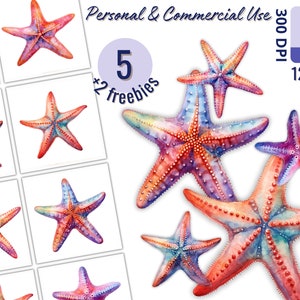Colorful Starfish Clipart Set for Creative Projects, Summer and Ocea Vibes Designs, Nature, Card Making, Collage, Scrapbooking, Free License
