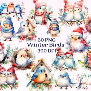 Wunderliche Wintervögel für kreative Projekte, Weihnachten Winter Tier druckbare, digitale Ephemera, Kinderzimmer Kunst, Scrapbooking, Sublimation