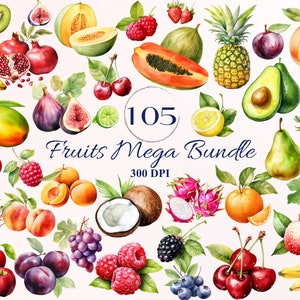 Fruit Mega Bundle pour projet créatif, Fruits Clipart, Fond transparent, Éphémères numériques, Collage, Fabrication de cartes, Scrapbooking, Menu