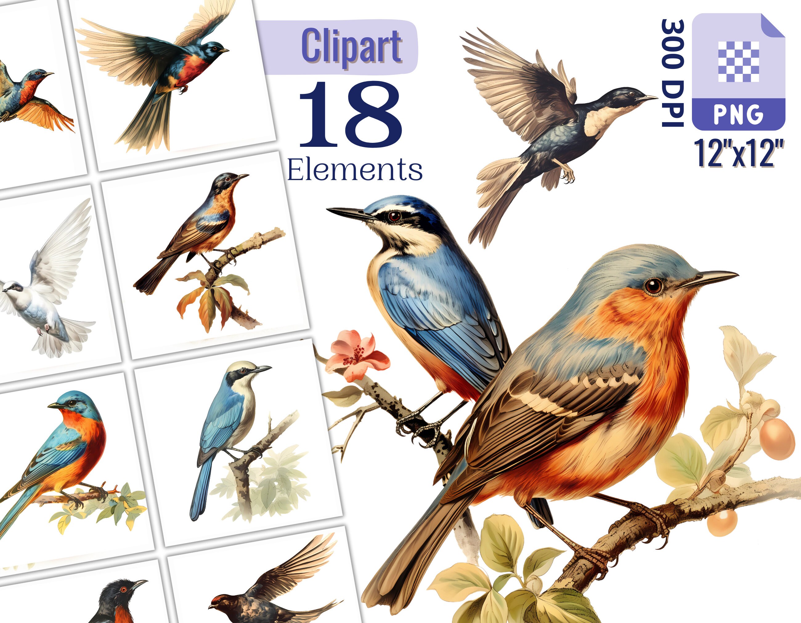 Vintage Bird Drawings Clipart Set for Creative Projects Junk Journal