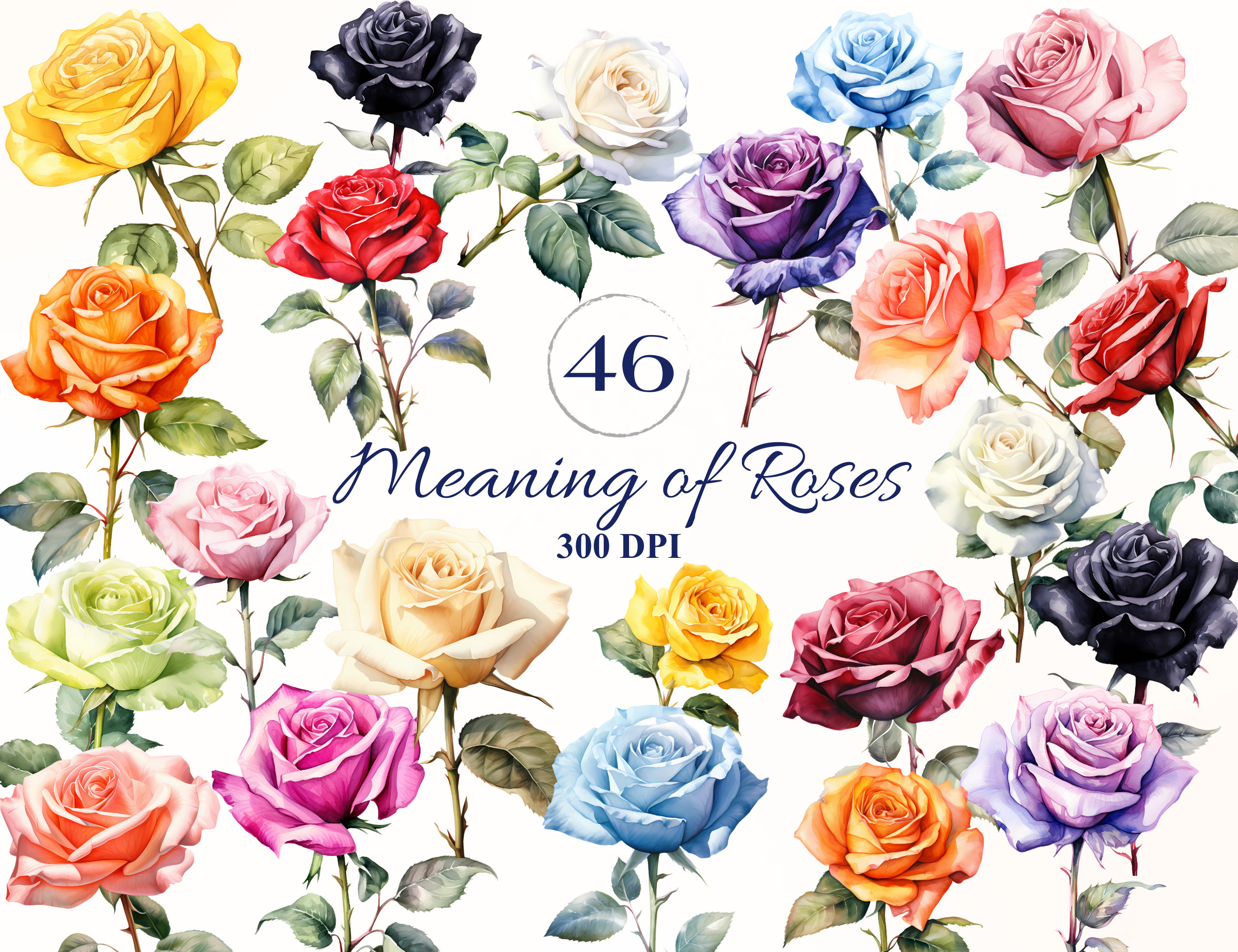 Meaning of Rose Cliparts for Creative Projetcs Rose - Etsy