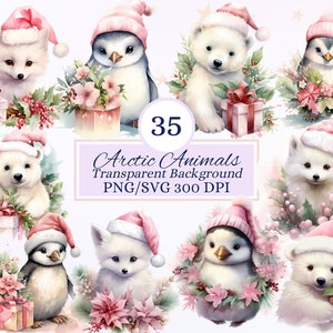 May include: 35 watercolor illustrations of arctic animals wearing Santa hats and surrounded by winter greenery. The animals include polar bears, penguins, and arctic foxes. The illustrations are perfect for holiday crafts, scrapbooking, and digital design.