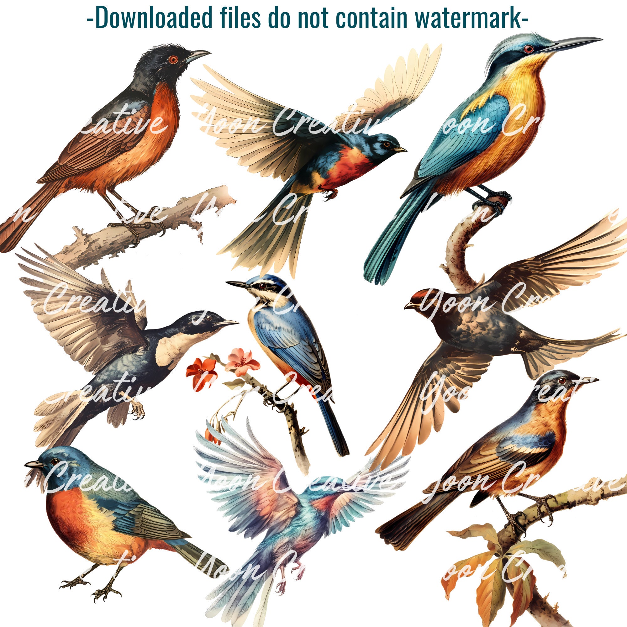 Vintage Bird Drawings Clipart Set for Creative Projects Junk Journal